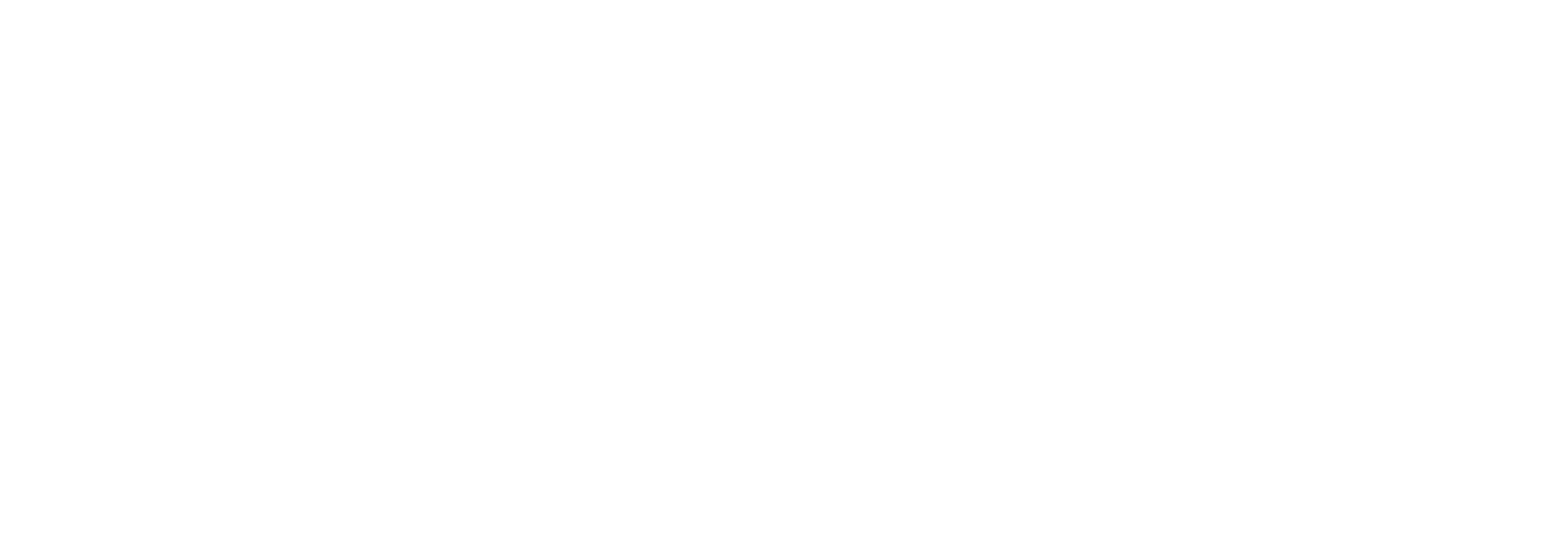 logo2 (2)